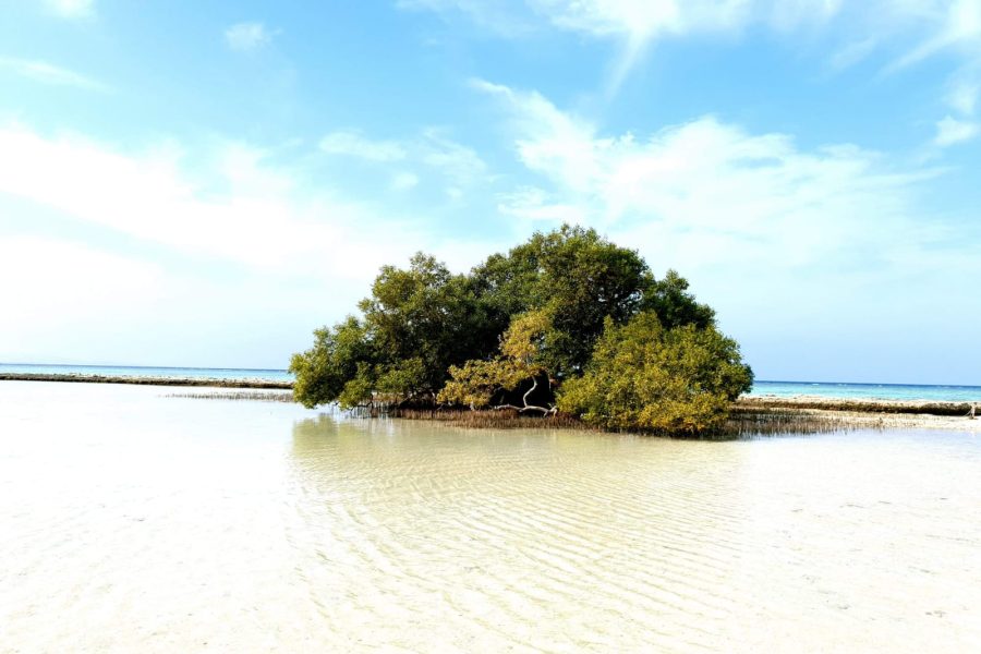 Egyptian Maldives